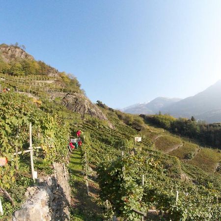 Winebnb Sondrio Extérieur photo