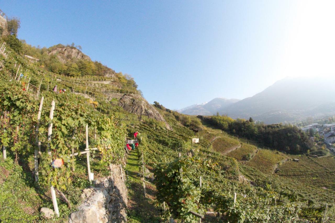 Winebnb Sondrio Extérieur photo